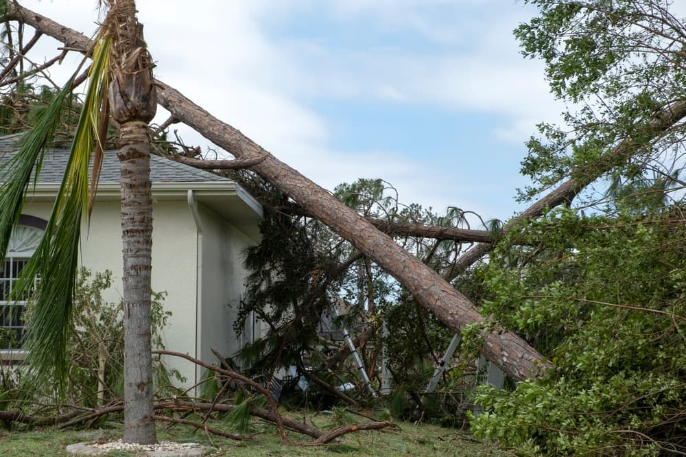 Emergency Roof Repair When Storms Hit
